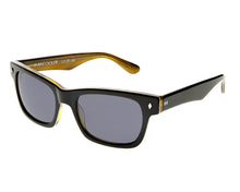 Cargar imagen en el visor de la galería, Waycooler Black + Honey Tortoise / Smoke Lenses