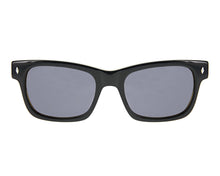 Cargar imagen en el visor de la galería, Waycooler Black + Honey Tortoise / Smoke Lenses
